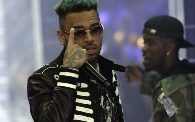Chris Brown Sued Over Cleaning Lady Getting Bitten by His Dog