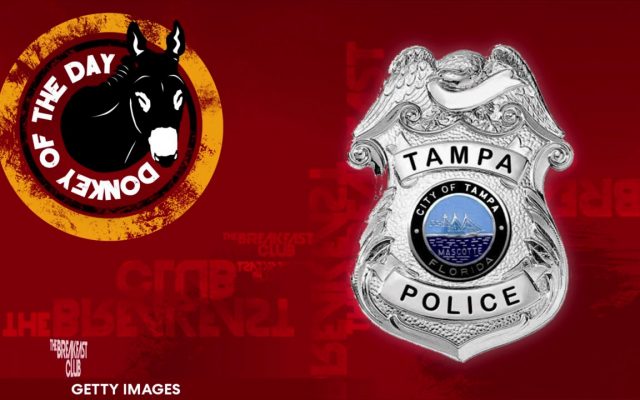 Tampa PD gets Donkey of the Day