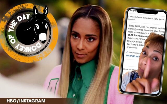 Twitter Comes For Amanda Seales After Her Character Wore AKA Colors On ‘Insecure’