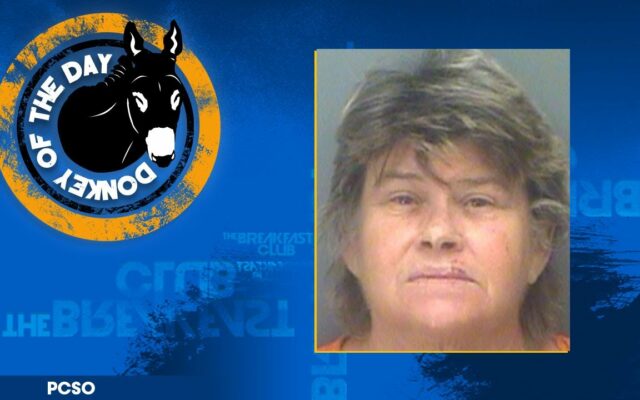 Florida Woman Throws Bucket Of Urine On Neighbor After Chicken Dispute