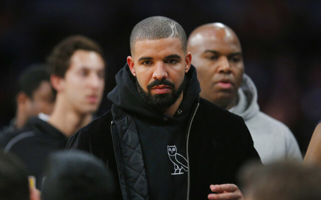 Drake Fan Grabbed By Security After Jumping Fence At His Hotel